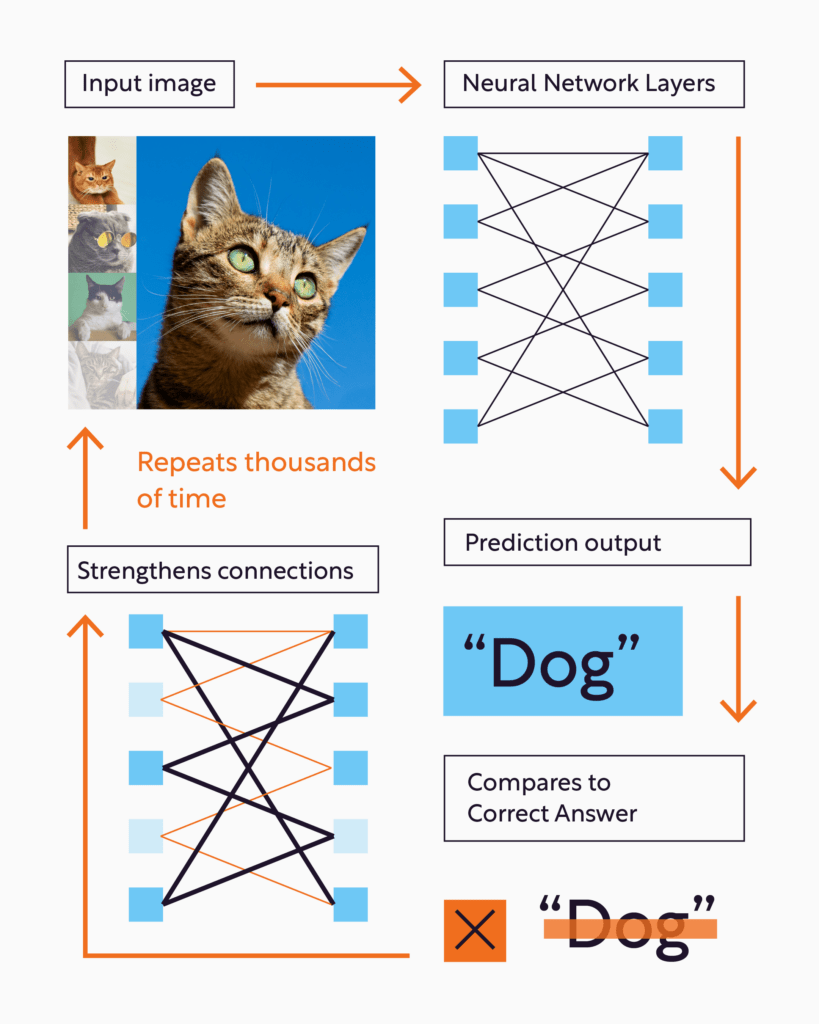 Image Neural Network explainer - MediaViz AI