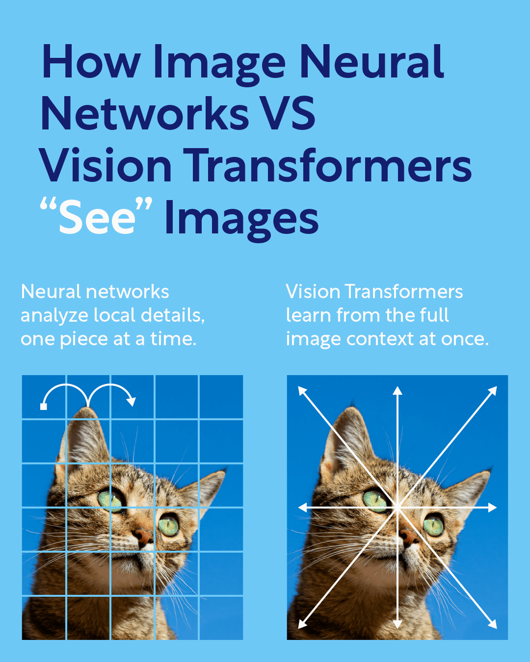 Image Neural Network explainer - MediaViz AI